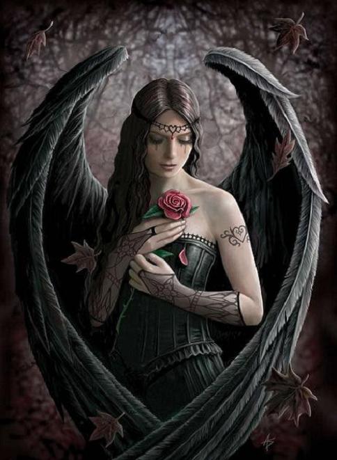 angy2404