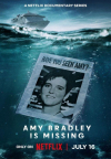 La desaparición de Amy Bradley