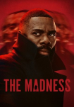 Poster pequeño de La locura (The Madness)