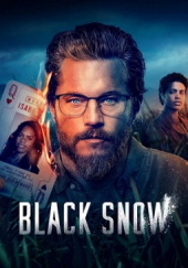 Poster de Black Snow