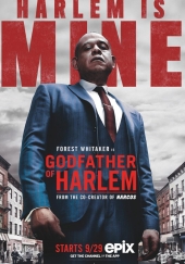 Poster de El padrino de Harlem (Godfather of Harlem)