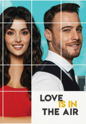Poster de Love is in the Air